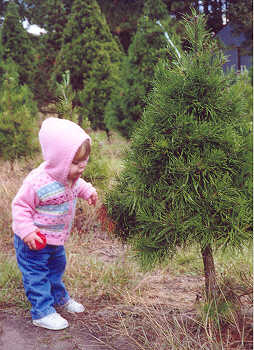 child and tree